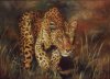 leopard_schleichend_50x70.jpg