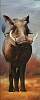 warzenschwein_121x47.5.jpg